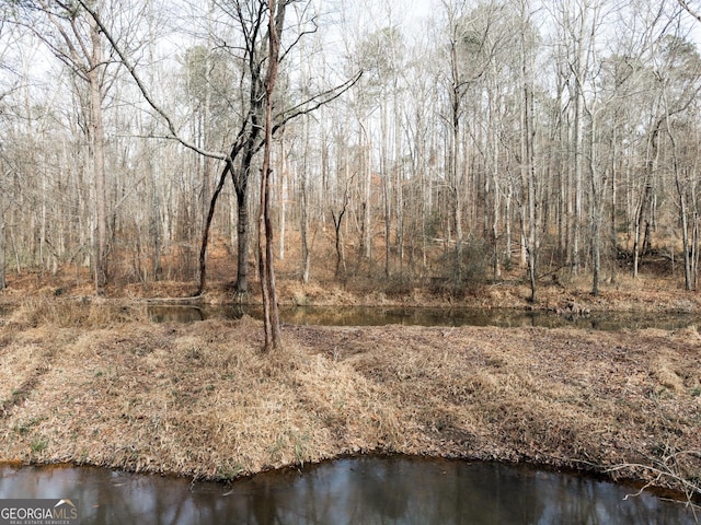 view of local wilderness