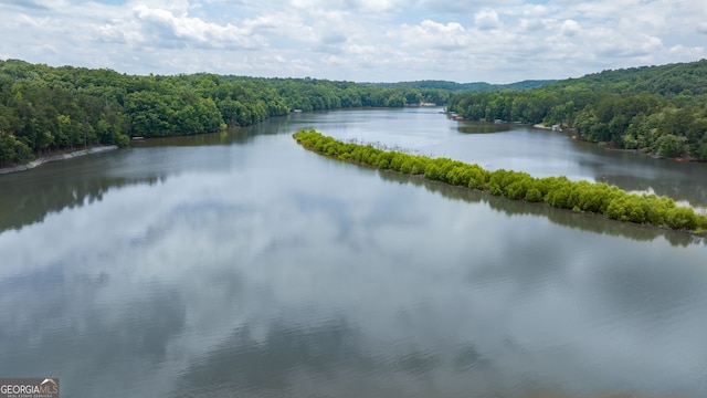 property view of water