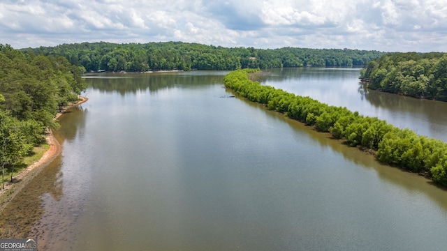 property view of water