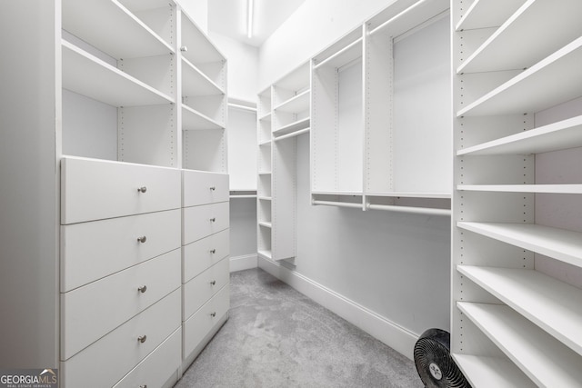 spacious closet featuring light carpet