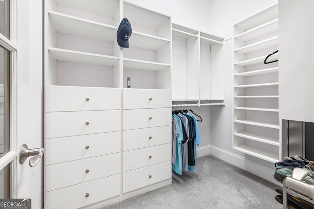 spacious closet with light colored carpet