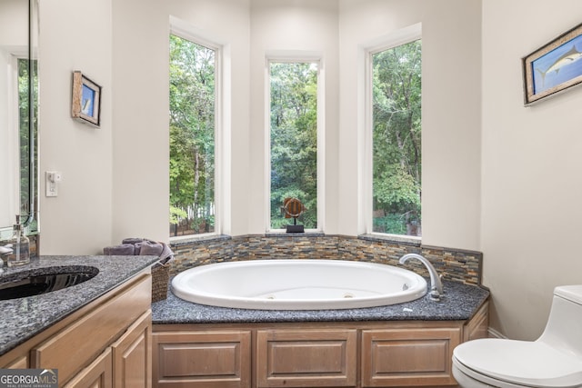 bathroom with vanity, toilet, and a washtub