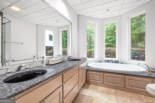 bathroom with vanity, a washtub, toilet, and a drop ceiling