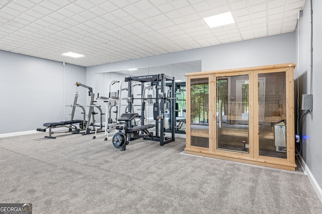 exercise area with carpet floors