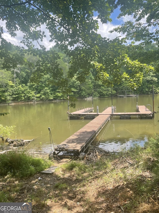 view of dock with a water view