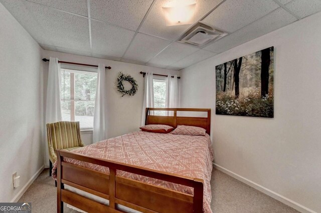 bedroom with carpet flooring, a paneled ceiling, and multiple windows