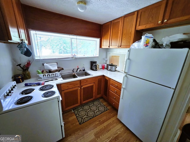 kitchen with hardwood / wood-style flooring, white appliances, sink, and a textured ceiling