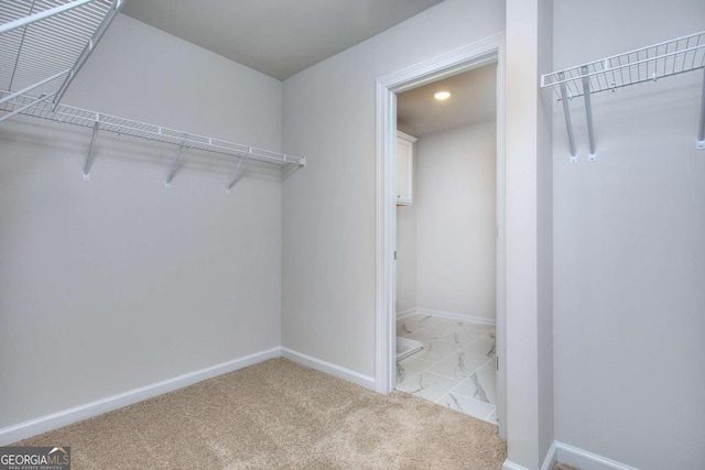 spacious closet with light colored carpet