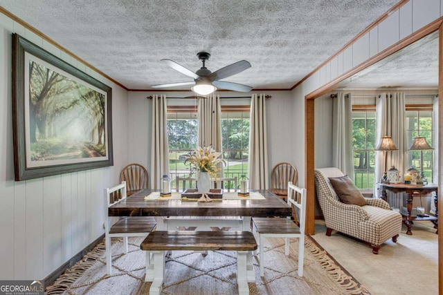 dining space with ceiling fan, a textured ceiling, and ornamental molding