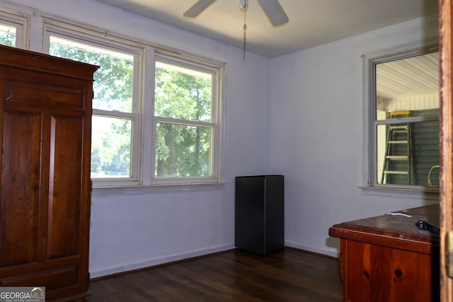 interior space featuring ceiling fan and dark wood-type flooring