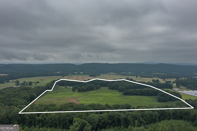 drone / aerial view with a rural view and a mountain view