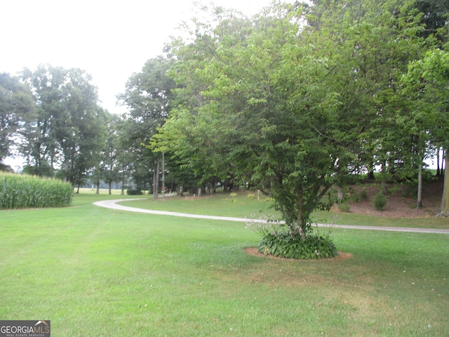 view of property's community with a lawn