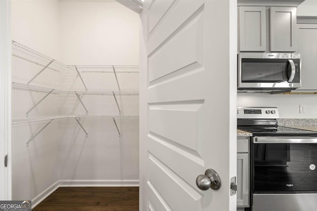 walk in closet featuring dark hardwood / wood-style floors