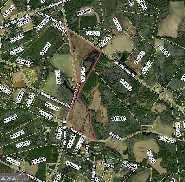 0 Groover Rd Unit 72.11Ac, Hinesville, GA 31313