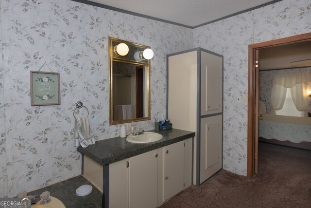 bathroom featuring vanity, crown molding, and a textured ceiling