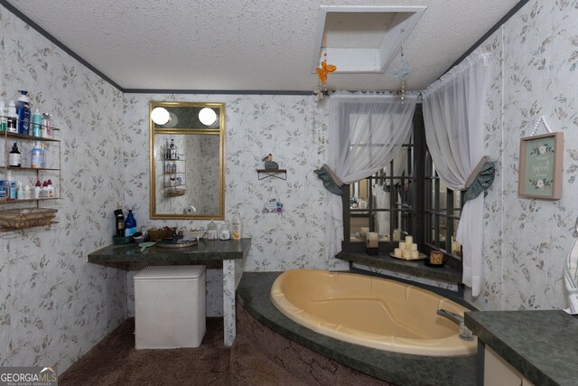 bathroom with vanity, a textured ceiling, and a washtub