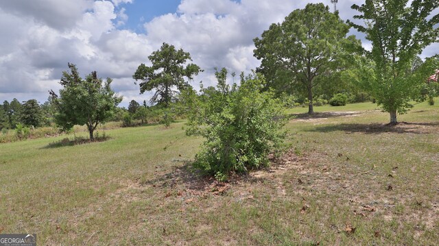 view of nature featuring a rural view