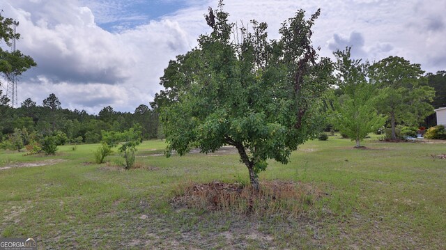 view of nature with a rural view