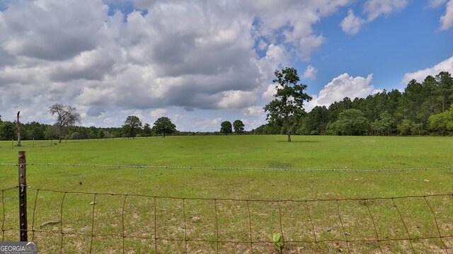 view of yard with a rural view