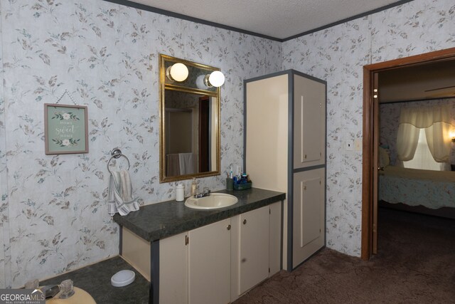 bathroom with vanity, crown molding, and a textured ceiling