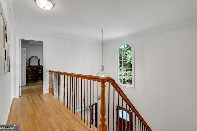 corridor with ornamental molding and light hardwood / wood-style floors