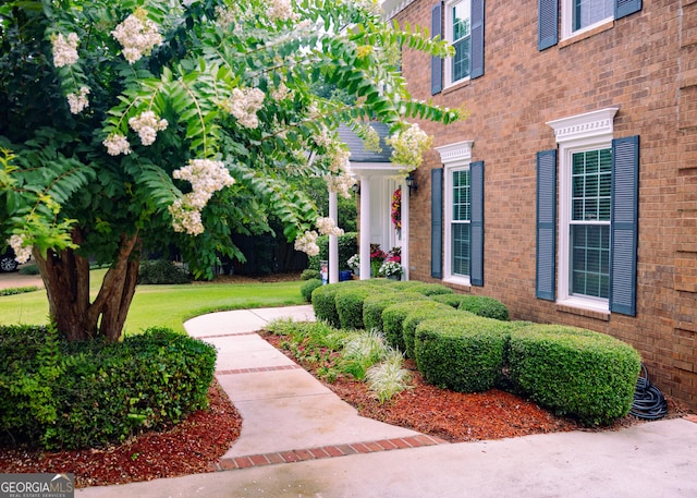 property entrance with a yard