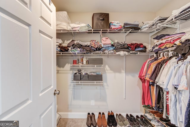 walk in closet with carpet flooring