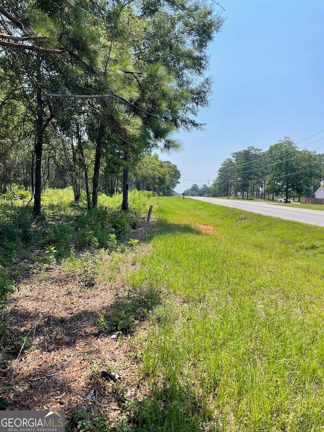 Listing photo 3 for 00 Old Alabama Rd, Thomaston GA 30286