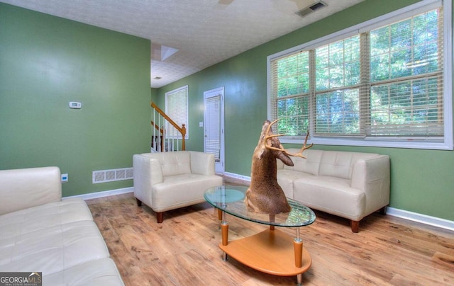 living room with a textured ceiling and hardwood / wood-style flooring