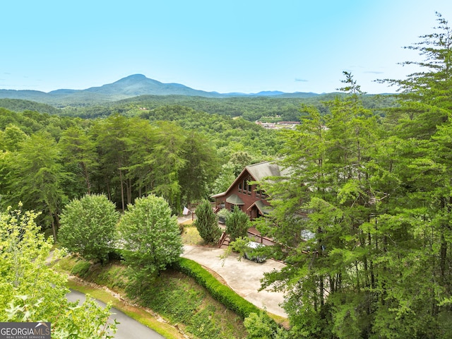 property view of mountains