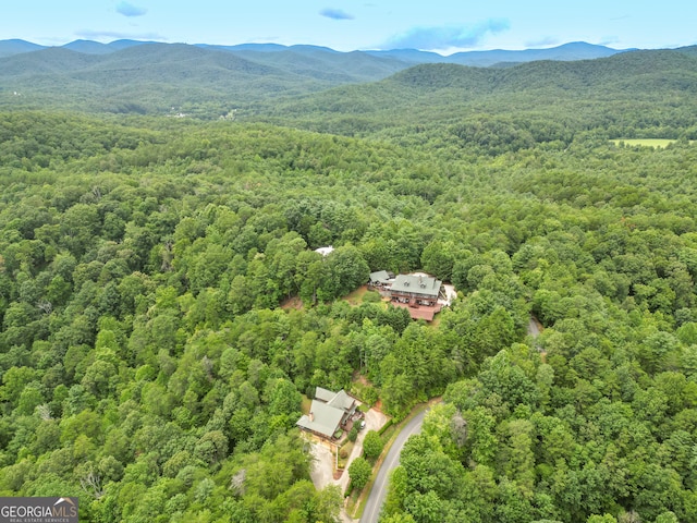 drone / aerial view with a mountain view