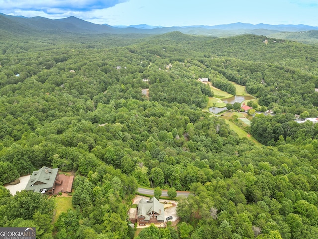 bird's eye view featuring a mountain view