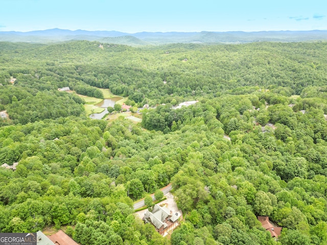 drone / aerial view with a mountain view