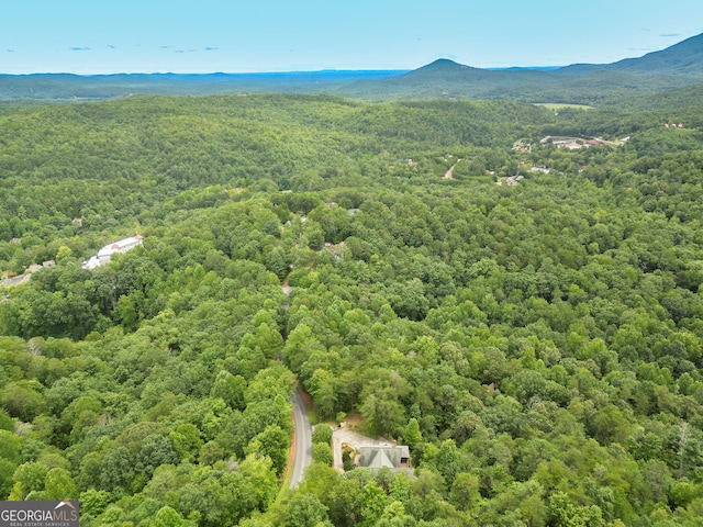 bird's eye view with a mountain view