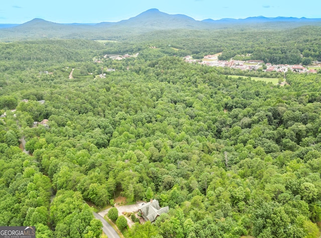 bird's eye view with a mountain view