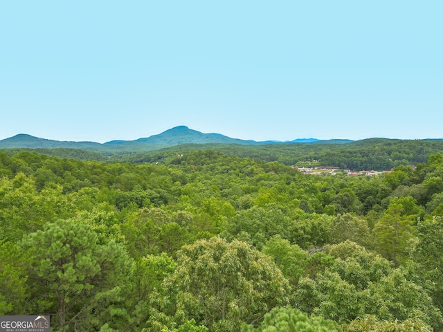 view of mountain feature