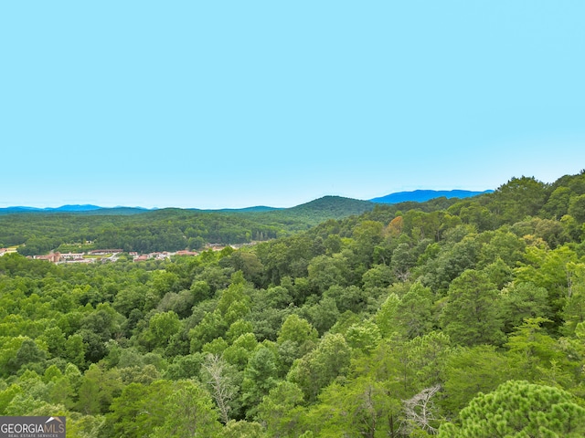 view of mountain feature