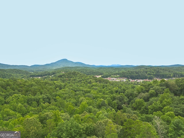 property view of mountains