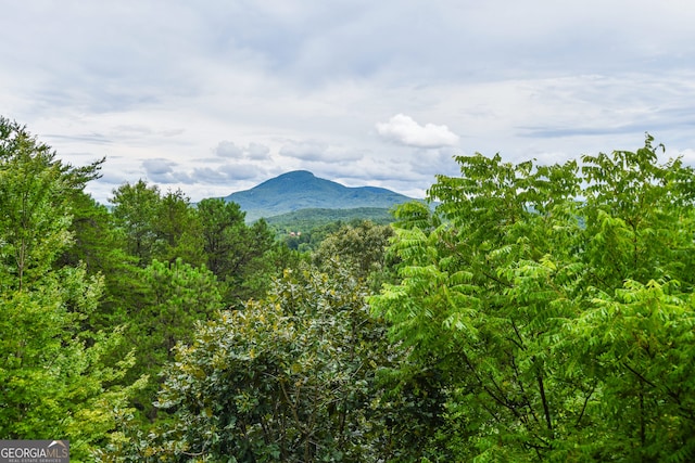 property view of mountains