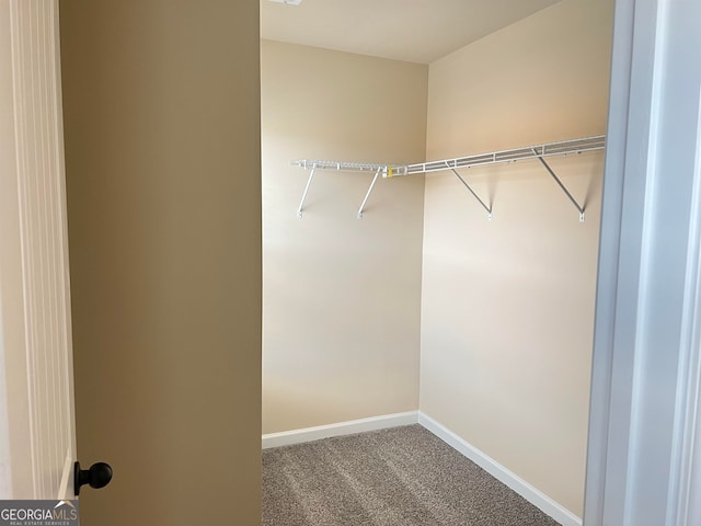 spacious closet featuring carpet flooring