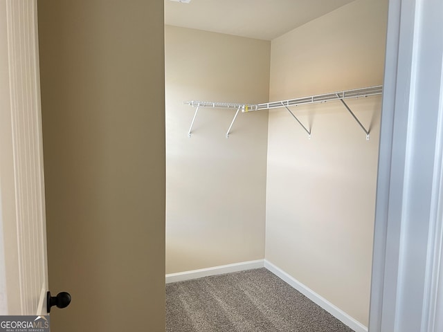 spacious closet with carpet