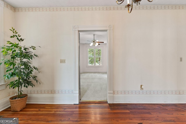 entrance foyer featuring dark wood-type flooring