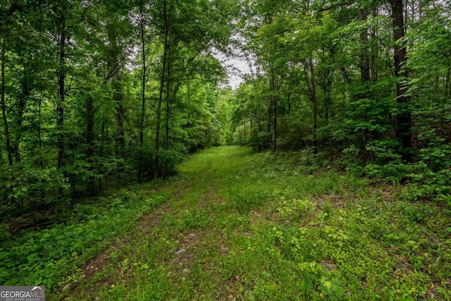 4.5AC Hickory Flat Rd, Woodstock, GA 30188