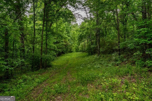 4.5AC Hickory Flat Rd, Woodstock, GA 30188