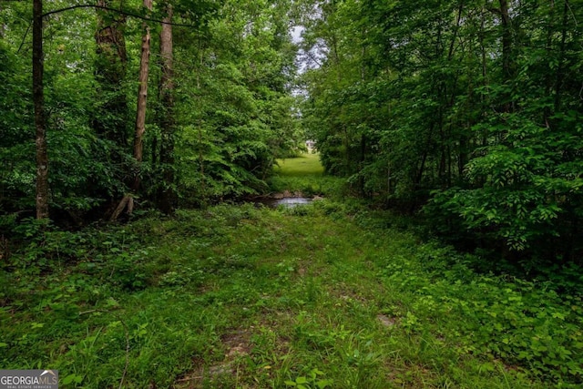 4.5AC Hickory Flat Rd, Woodstock, GA 30188