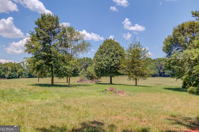 view of yard featuring a rural view