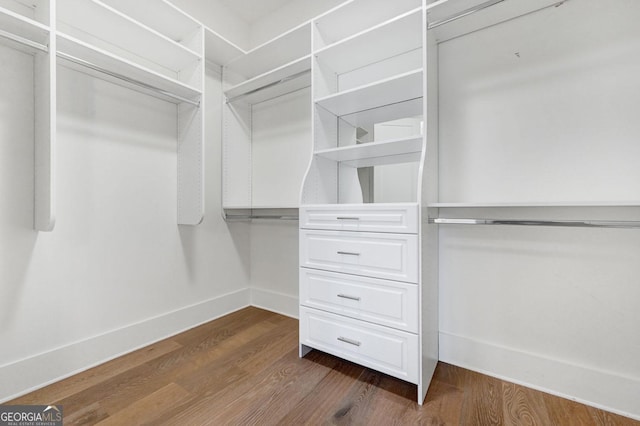 spacious closet with dark wood-type flooring