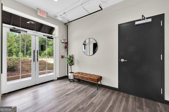 doorway to outside featuring hardwood / wood-style floors and french doors