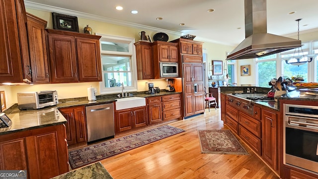 kitchen with island range hood, light hardwood / wood-style flooring, stainless steel appliances, crown molding, and sink