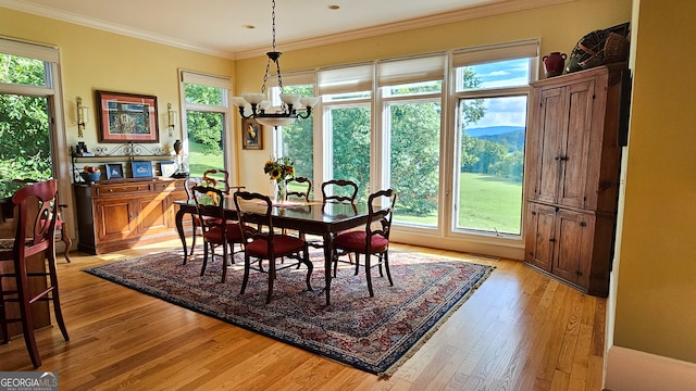 dining space with light hardwood / wood-style floors, a healthy amount of sunlight, and crown molding